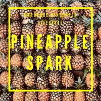 Pineapple Spark image 1